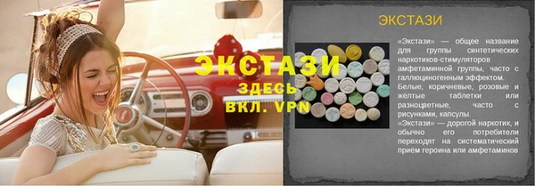 шишки Надым