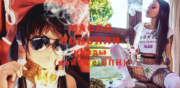 шишки Надым