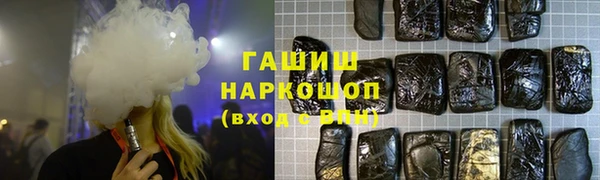 шишки Надым