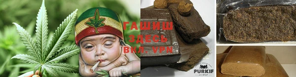 шишки Надым
