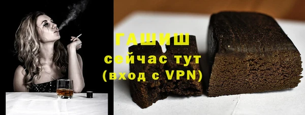шишки Надым