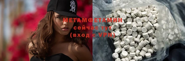 шишки Надым