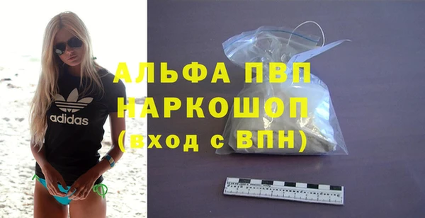 шишки Надым