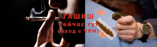 шишки Надым
