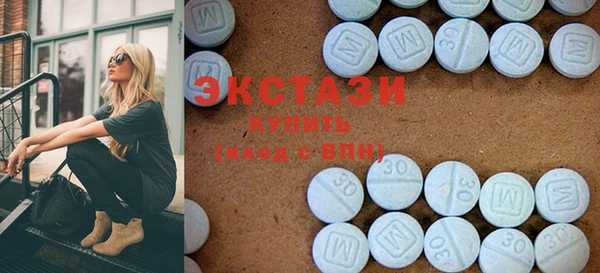 шишки Надым
