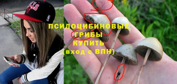 шишки Надым