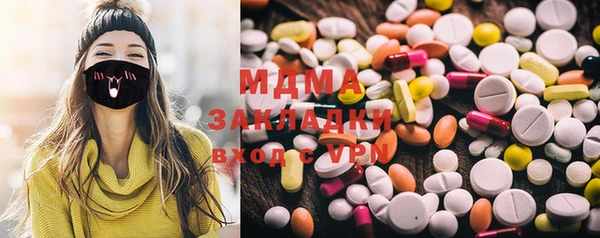 шишки Надым