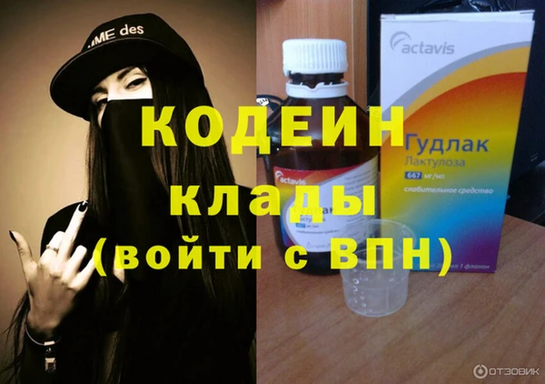шишки Надым