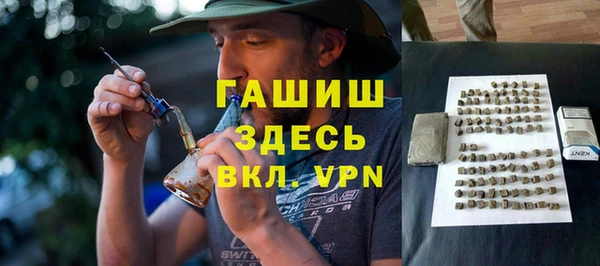 шишки Надым