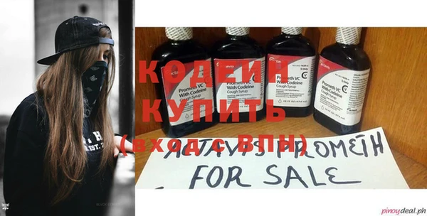 шишки Надым
