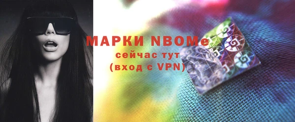 шишки Надым