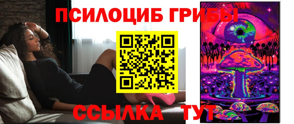Черняховск  Галлюциногенные грибы Cubensis  Псилоцибиновые грибы мухоморы  Вход с VPN 