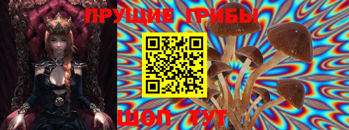 Галлюциногенные грибы мицелий Черняховск