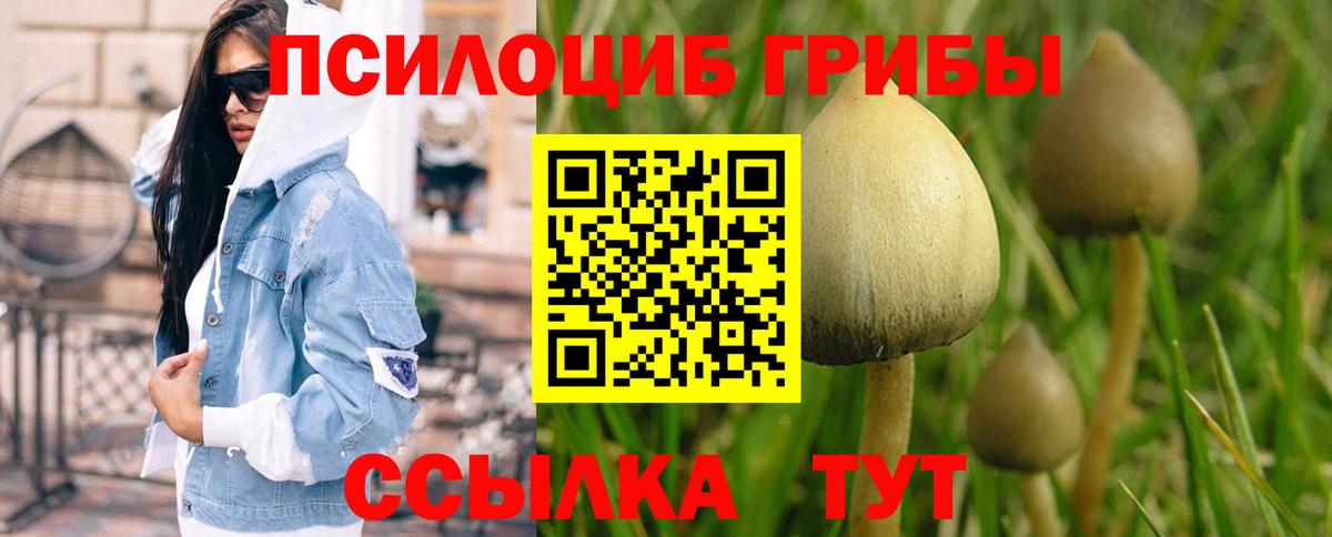 Псилоцибиновые грибы ЛСД  Псилоцибиновые грибы MAGIC MUSHROOMS  Черняховск 