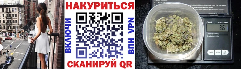 МЕГА   Черняховск  МАРИХУАНА ГИДРОПОН 
